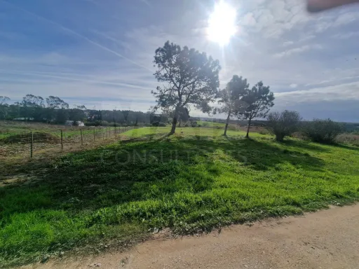 Terreno Rustico - Reinaldes