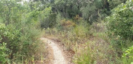 Terreno Rústico arborizado zona de POUSOS