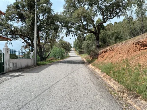 Terreno Misto, Salgueiro do Campo, Castelo Branco