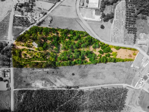Terreno com 19523m2 com enorme potencial