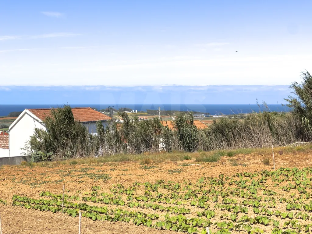Moradia T2+3 com Terreno de quase 3000m2 Urbano