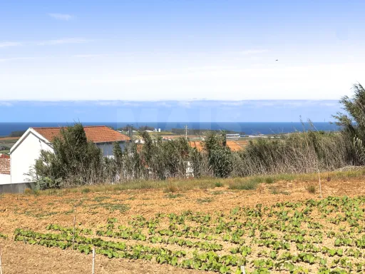 Moradia T2+3 com Terreno de quase 3000m2 Urbano