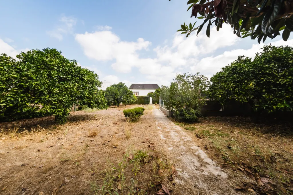 Moradia Isolada T7 no Bombarral | Espaço, Tranquilidade e Proximidade do Centro 🏡