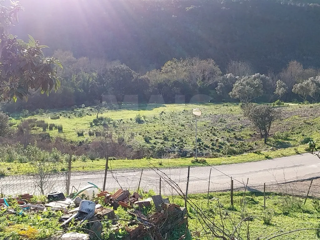 Monte Alentejano
