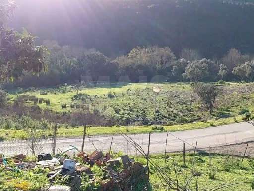 Monte Alentejano