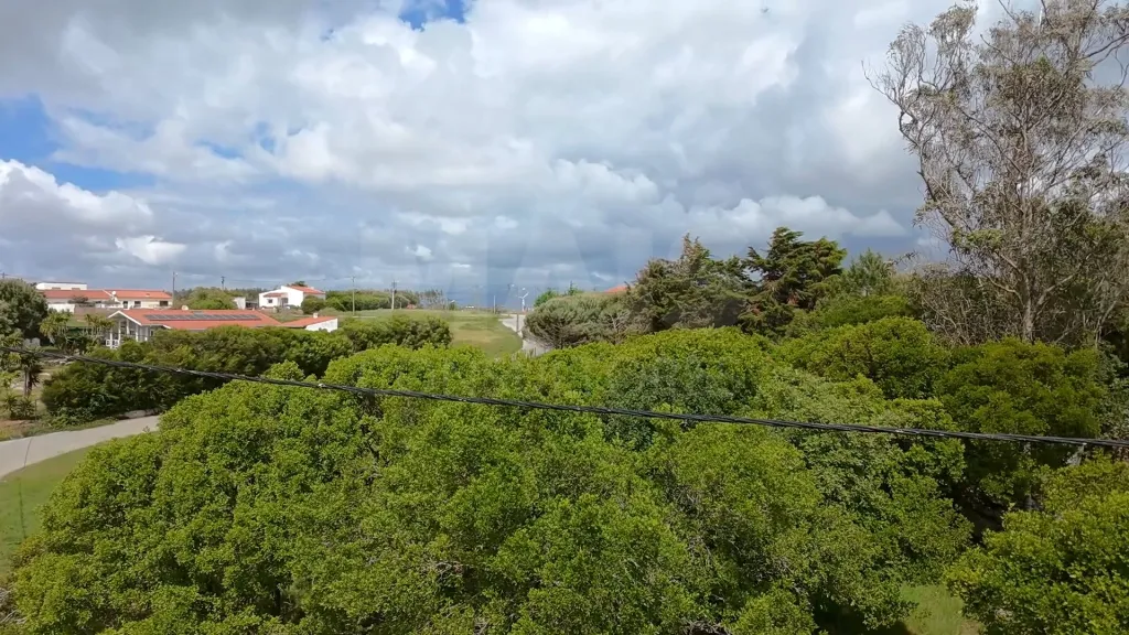 Terreno com 2 280m² em Cezaredas – Oportunidade Única!