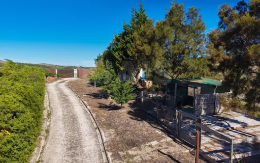 Quintinha com moradia T3 Térrea a 10 minutos de Arruda dos Vinhos