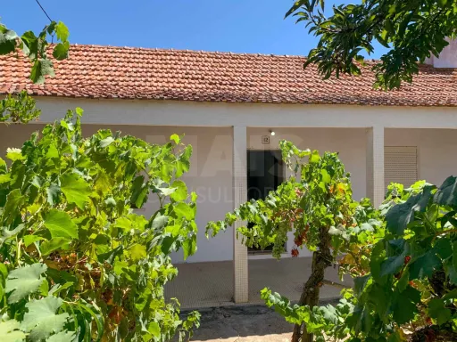 Moradia T3 com espaço exterior e poço