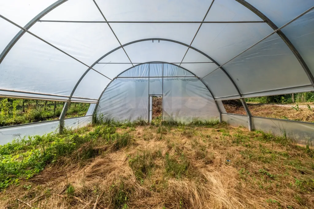 Terreno Agrícola na Fanadia | 16.100 m² de Potencial e Infraestruturas Preparadas