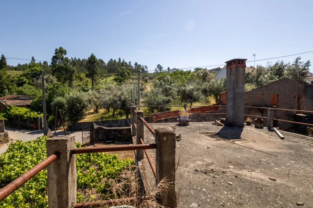 PROPRIEDADE DE CARÁTER NA N2 | 400 m² DE CONSTRUÇÃO, OLIVAL E POTENCIAL TURÍSTICO