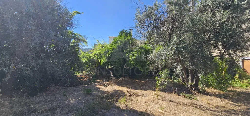 Moradia 2 Pisos centro Peroviseu c/ Terreno 500m2 e Garagem
