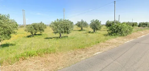 Terreno Rustico CHÃ Alcanena