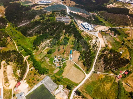 Terreno com quatro hectares e meio perto de indústria, no concelho de Torres Vedras