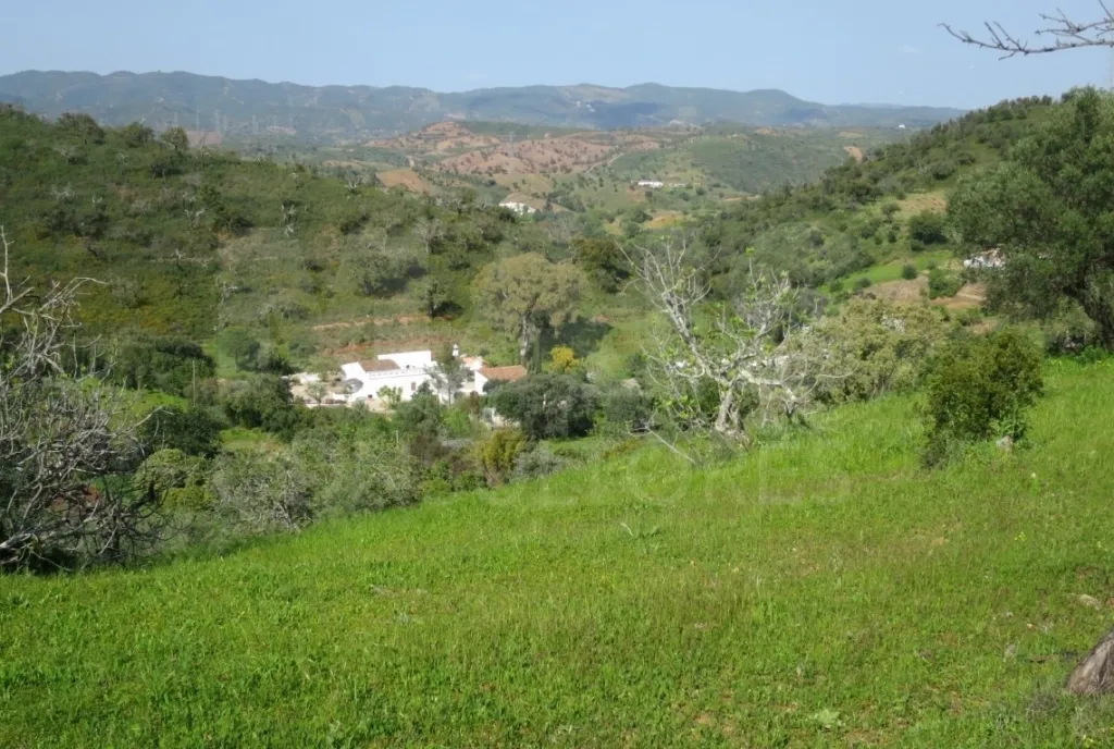 Ruína com 171m2 em terreno urbano com 468,5m2, vista serra e mar, entre São Brás de Alportel e Tavira