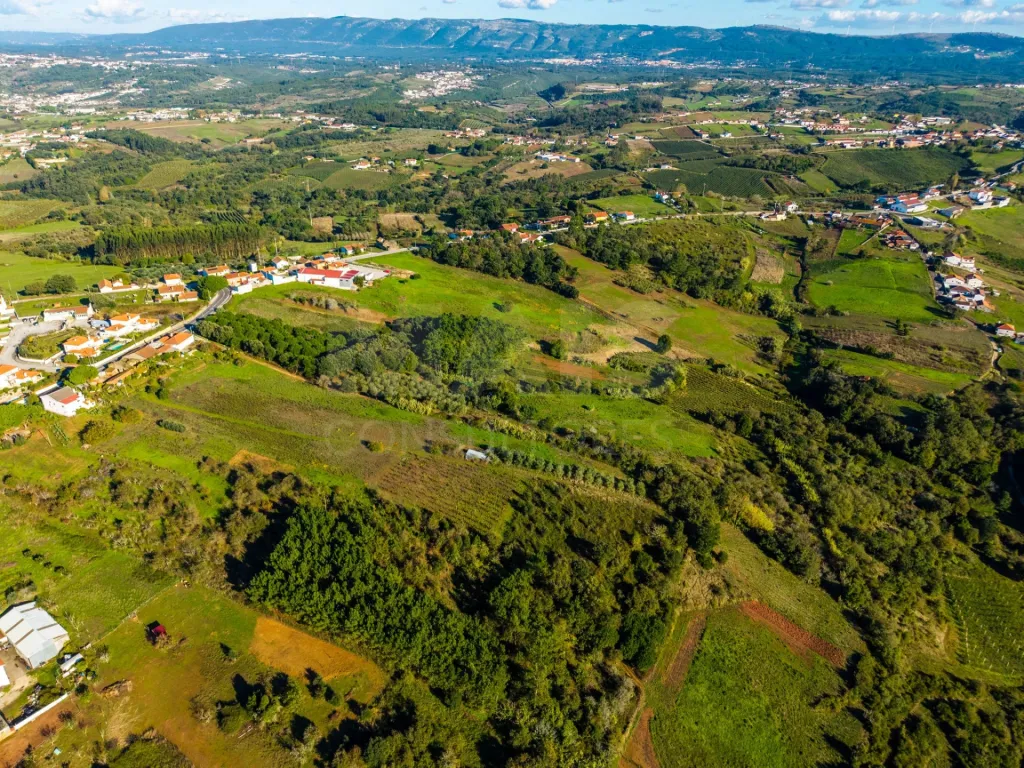 Terreno Amplo com PIP Aprovado – Ideal para Moradia Contemporânea