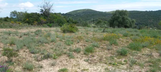 Lote de terreno Rustico