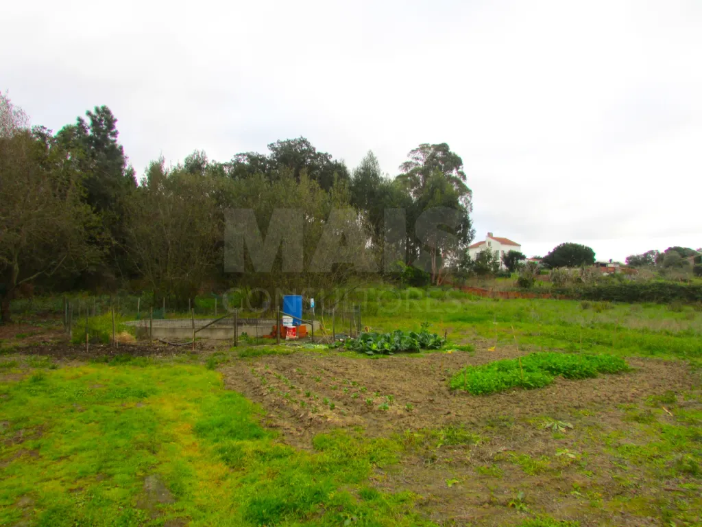 Terreno Misto - 1ha - Torres Vedras - Ramalhal