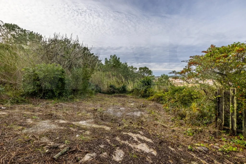 Refúgio Exclusivo na Foz do Arelho: Uma Oportunidade Única de Preservação e Natureza