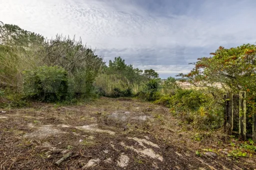Refúgio Exclusivo na Foz do Arelho: Uma Oportunidade Única de Preservação e Natureza