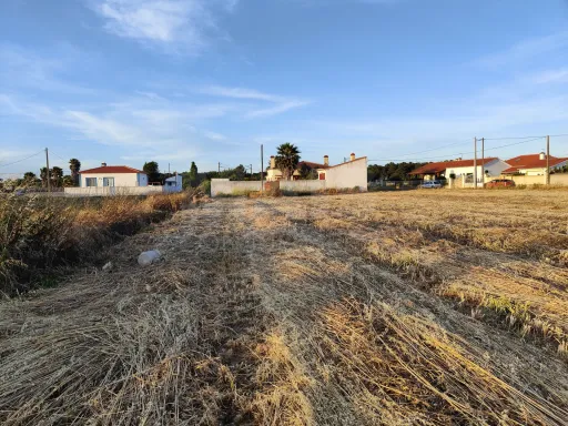 Terreno | Foros de Salvaterra |Com Poço