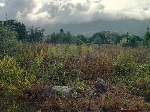 Terreno urbanizável de 1.712 m² com projeto aprovado para duas moradias - Alcobaça