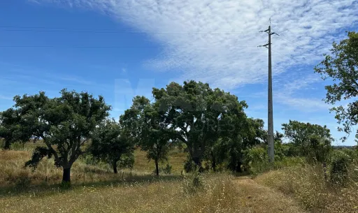 Herdade com 11,6 hectares em São Bartolomeu da Serra, Santiago do Cacém
