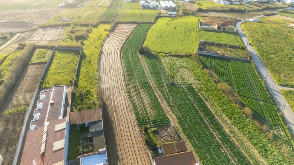 Moradia térrea T4 com anexo e 5.000 m2 de terreno em Geraldes