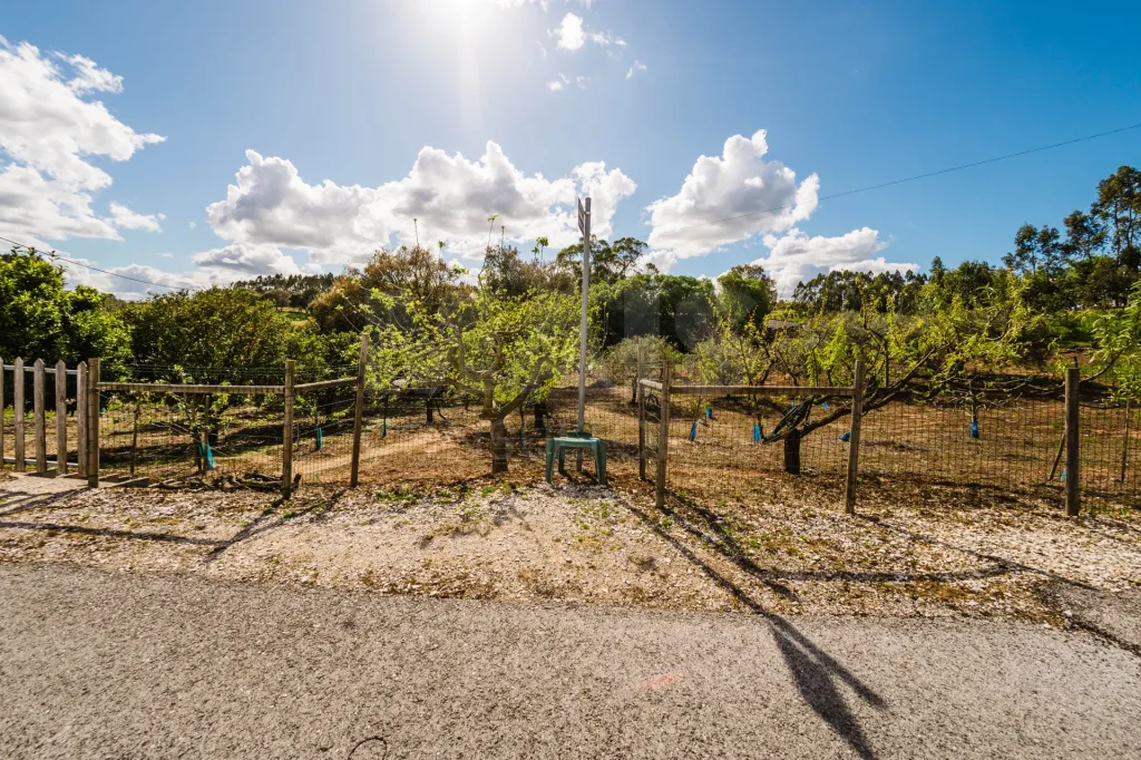 Moradia para remodelar em terreno com 1.809m2