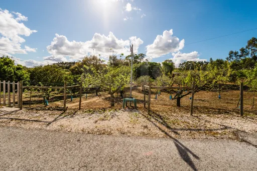 Moradia para remodelar em terreno com 1.809m2