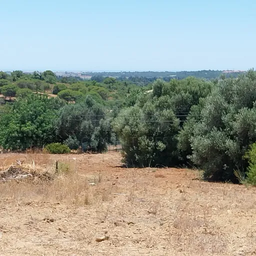 Lote de Terreno Rustico junto á Estrada Nacional 125