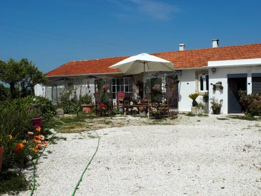 Moradia T2 na Cela com um excelente espaço exterior