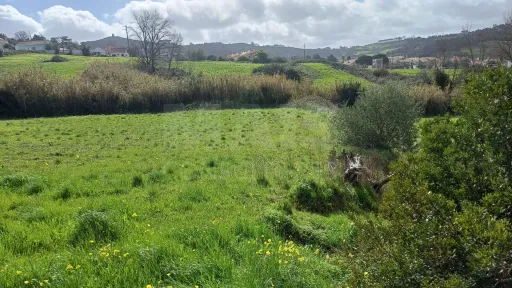 Terreno rustico 40560m2 em Sapataria