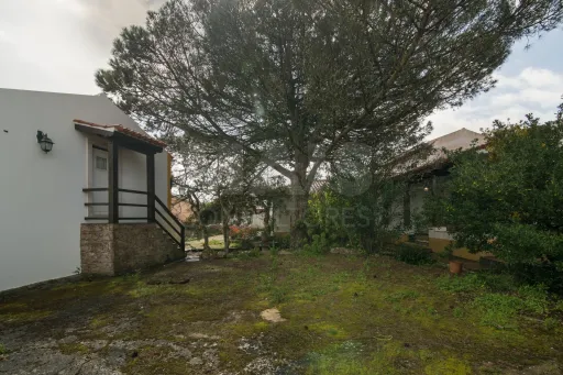 Duas Moradias em Reguengo Grande Lourinhã