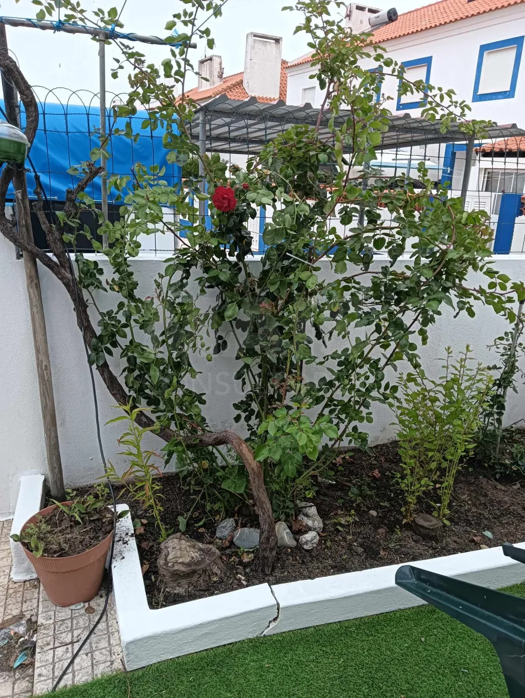 Moradia T3 Duplex com Jardim e Churrasqueira em Porto Covo