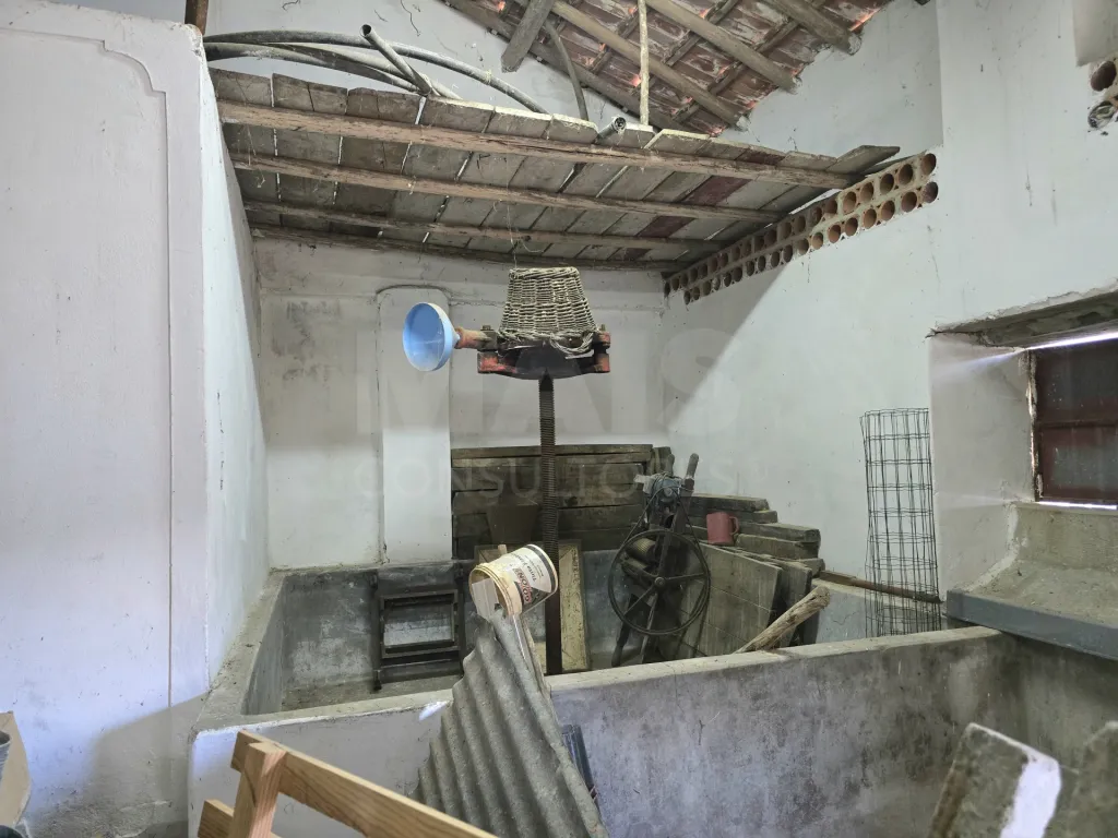 Imóvel com projeto de arquitetura para moradia T3 | Alvorninha