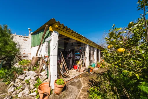 Propriedade com 7240m2 | Duas habitações | Piscina | Garagem | Anexos | Carvalhal, Bombarral