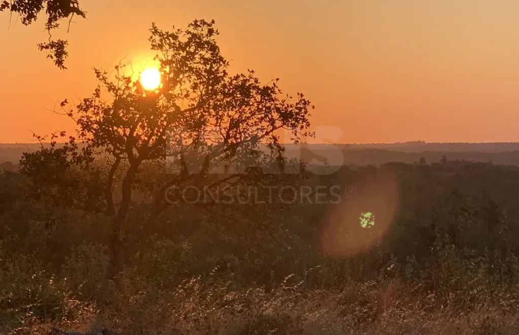 52.45-hectare estate in São Bartolomeu da Serra, Santiago do Cacém