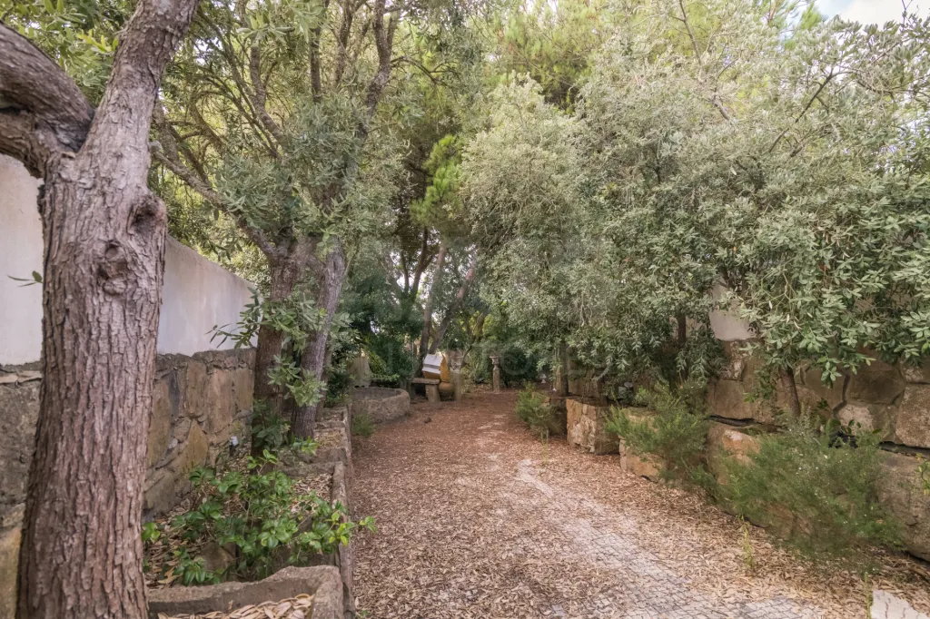 Terreno Urbano junto ao Parque Natural  em Sintra