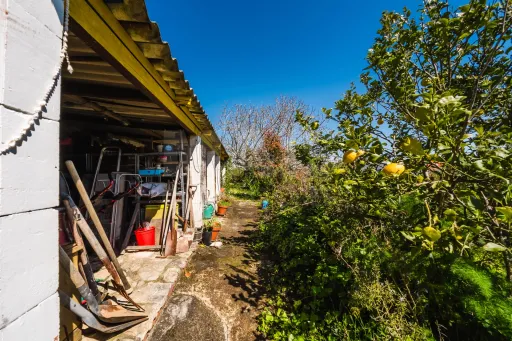 Propriedade com 7240m2 | Duas habitações | Piscina | Garagem | Anexos | Carvalhal, Bombarral