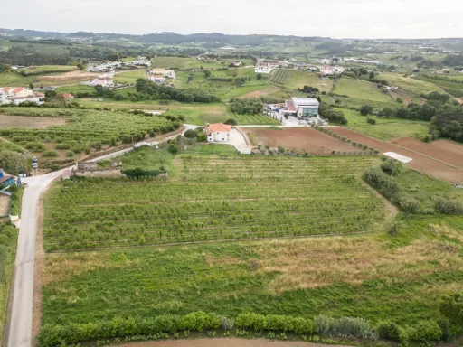 Terreno com PIP aprovado para 6 Moradias