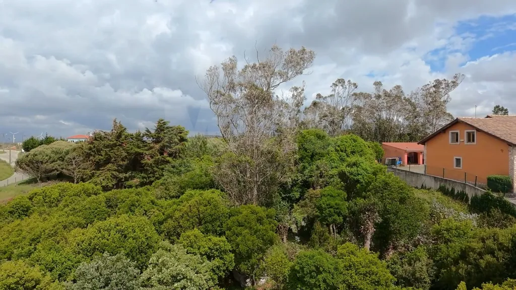 Terreno com 2 280m² em Cezaredas – Oportunidade Única!