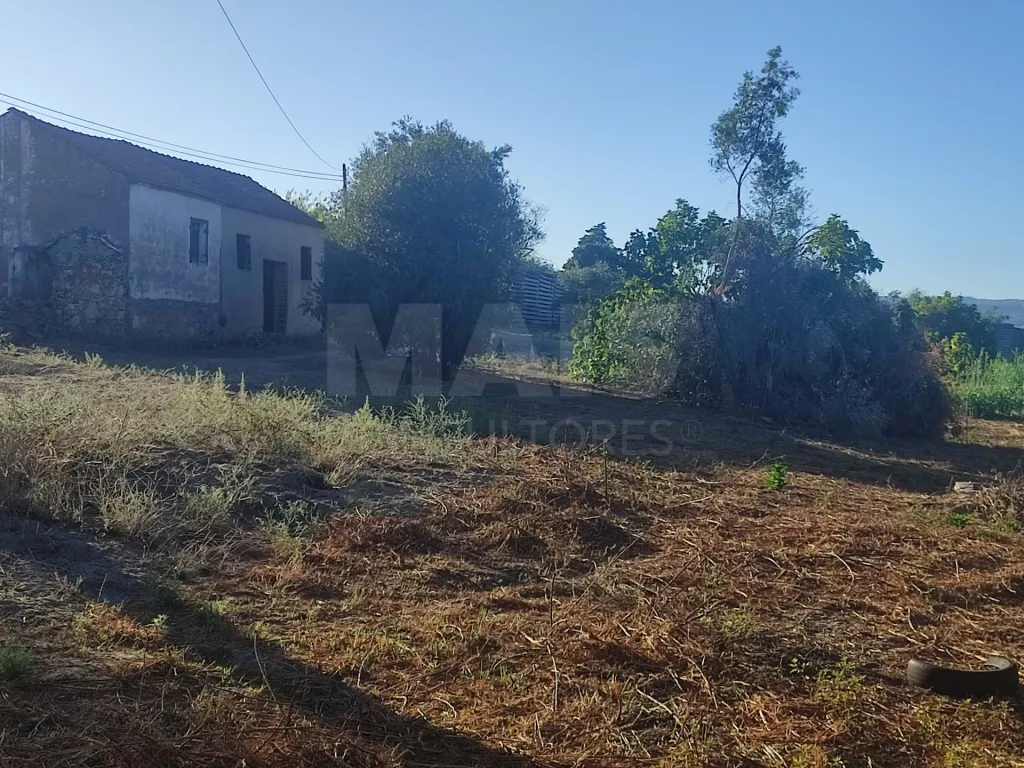 Quinta com moradia para recuperar na zona de Abrantes