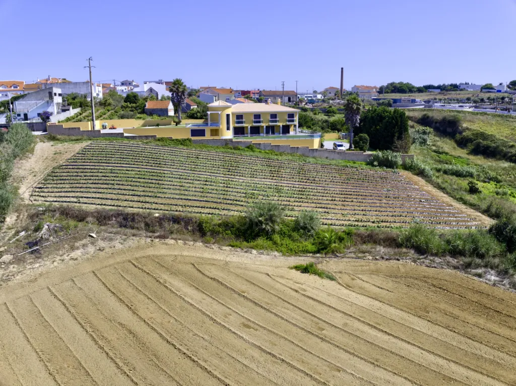 Terreno com Viabilidade de Construção