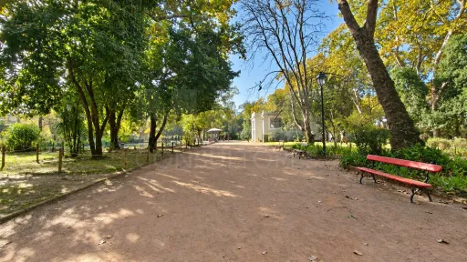 2-Bedroom Apartment with Terrace and Potential | Downtown Caldas da Rainha