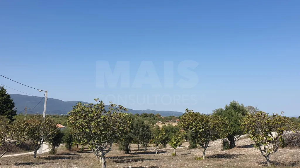 Terreno Misto com Ruina em TORRES NOVAS