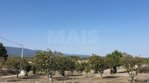 Terreno Misto com Ruina em TORRES NOVAS