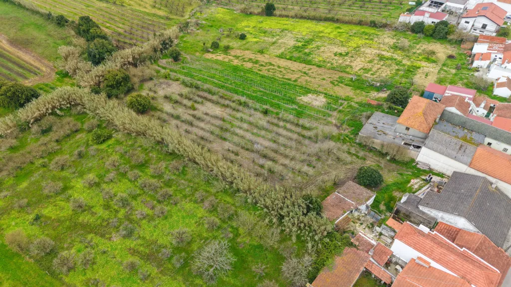 Terreno no centro da Usseira