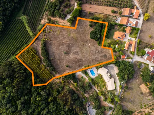 Propriedade única, a apenas 2 km de Alcobaça, com mais de 30.000 m² de terreno