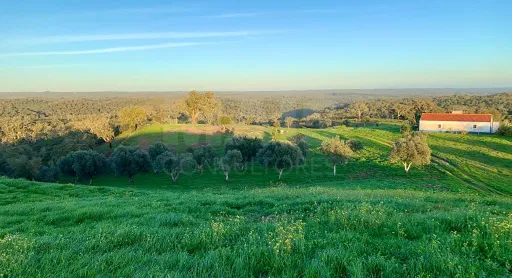 Herdade  com 40,85 hectares em São Bartolomeu da Serra, Santiago do Cacém