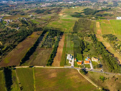 Terreno de 7240m2 com vista deslumbrante para a Serra do Montejunto